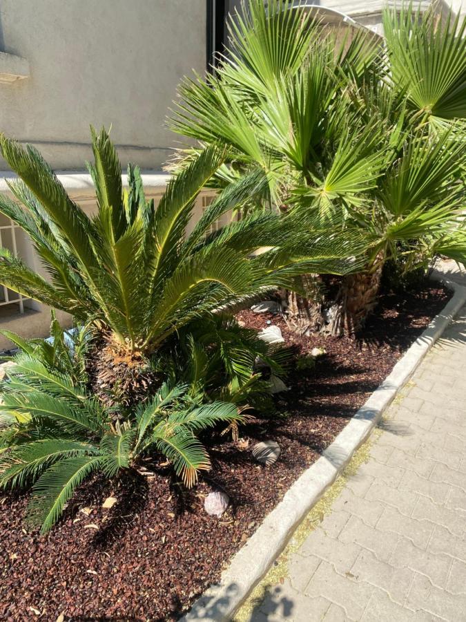 Casa Cacao près plage et vélodrome Marsella Exterior foto
